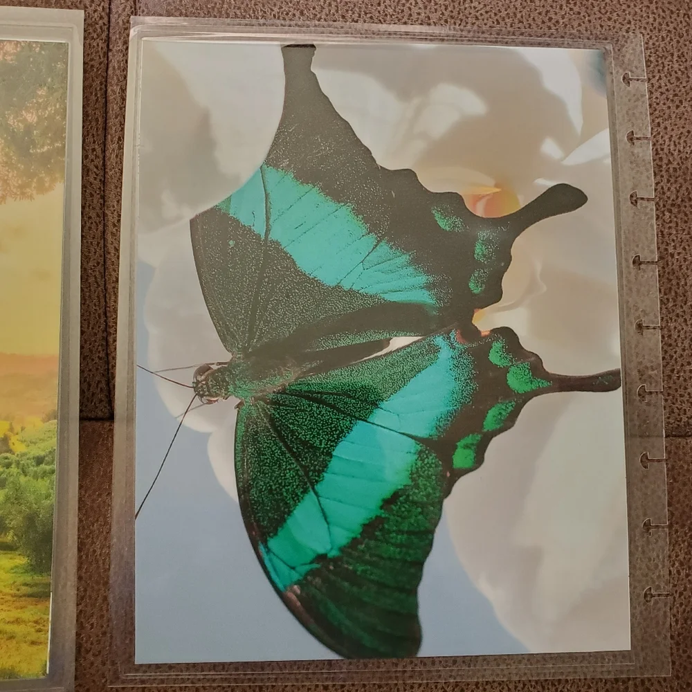 Hand Made classic sized cover for a disc bound planner farm scene, butterflies